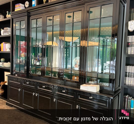 ארון זכוכית גדול עם מדפים וספרים
